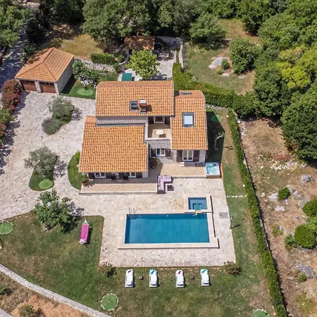 Olive By Guide Kamenice